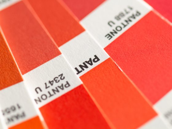 Orange paint swatches